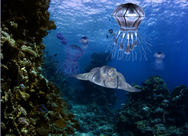 Creation of Underwater life: Step 12